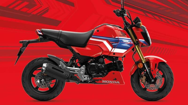 Honda GROM 2026: nuova colorazione per la MSX125 pensata per il paddock, piace per l&rsquo;uso urbano