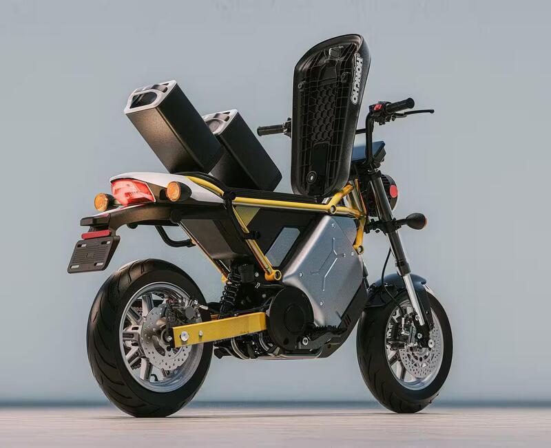 il doppio pacco batteria estraibile