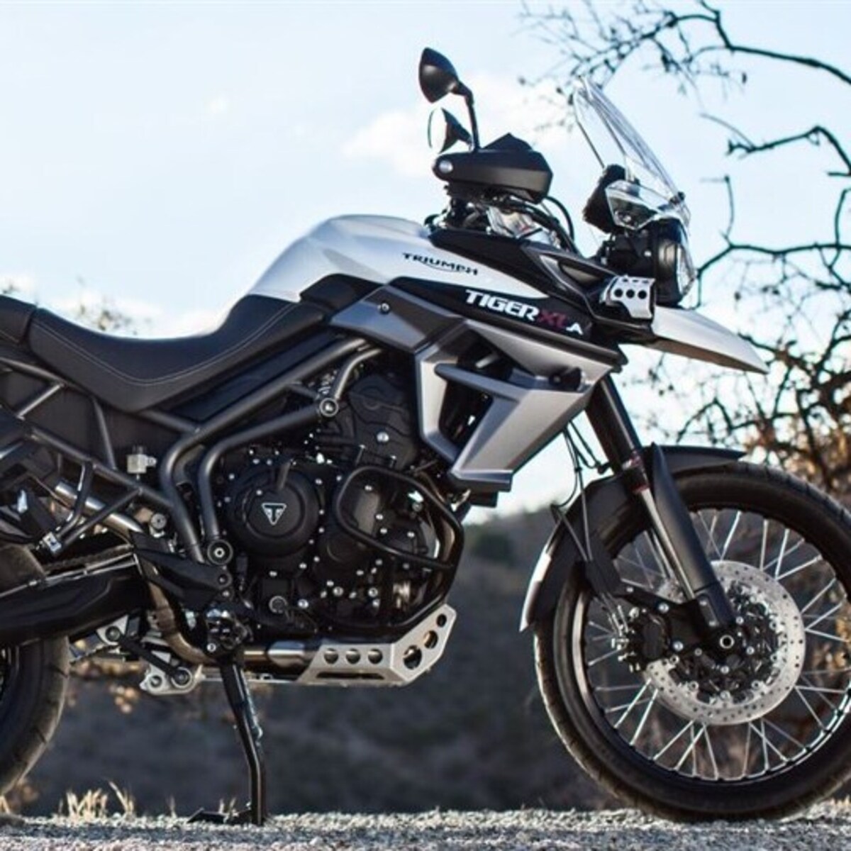 Triumph Tiger 800 XCa (2015 - 17)