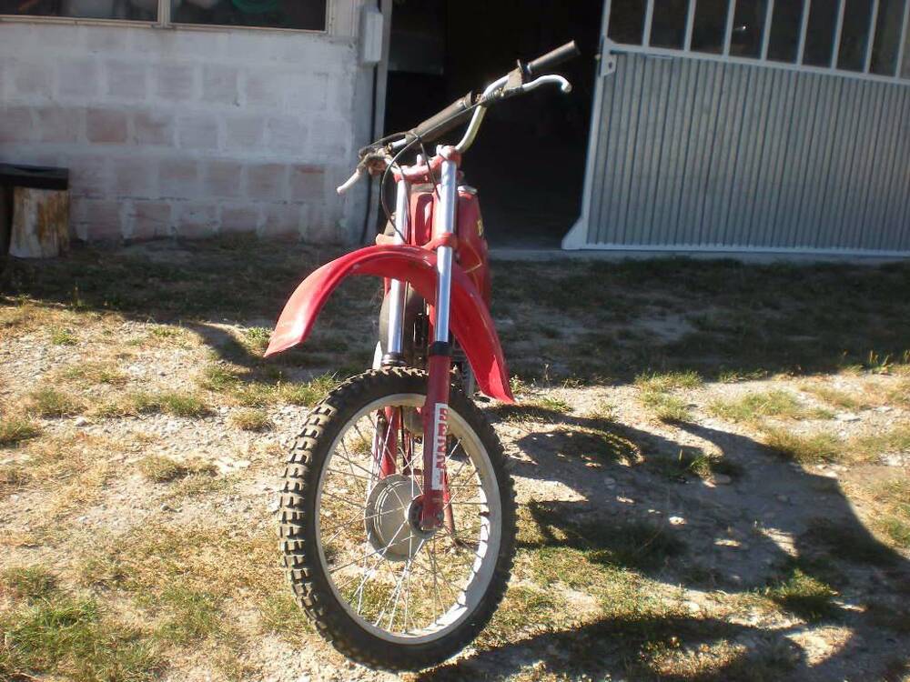 Betamotor regolarita 250 (2)