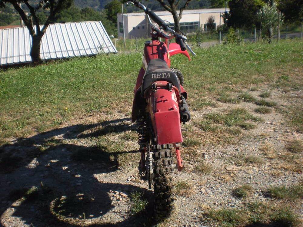 Betamotor regolarita 250 (4)