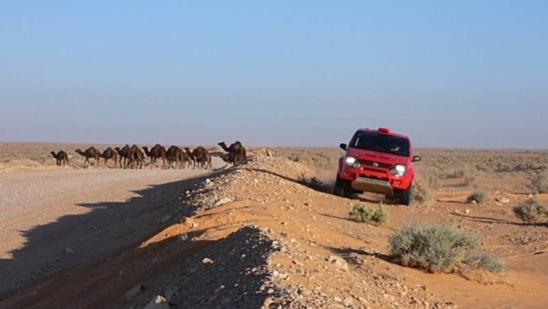 Fiat Panda Cross Dakar 2007