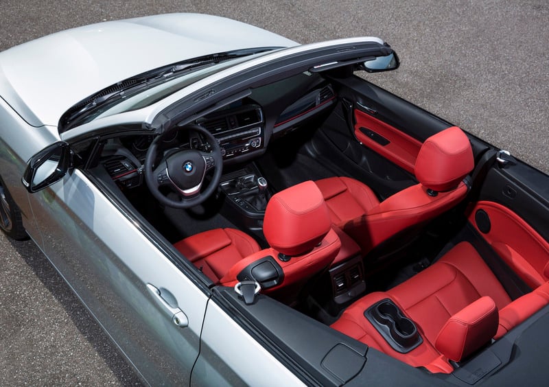 BMW Serie 2 Cabrio (2015-21) (19)