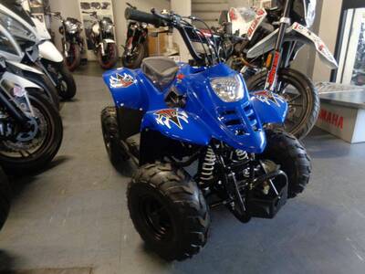  Altre moto o tipologie Quad nuova