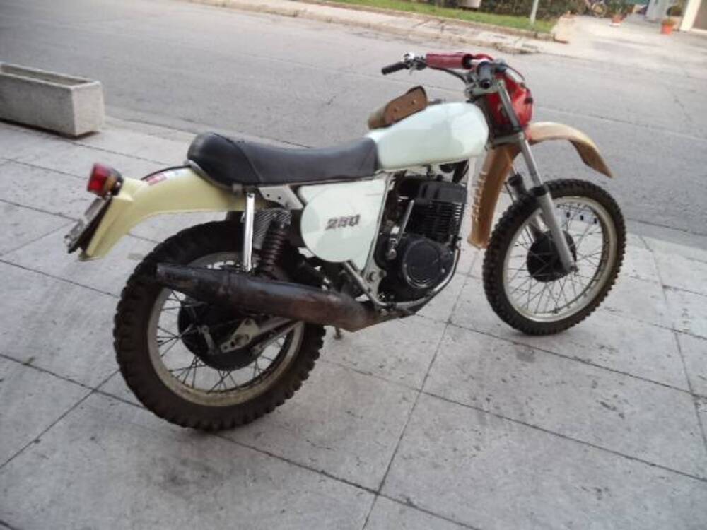 Laverda 250 2 TR  (2)