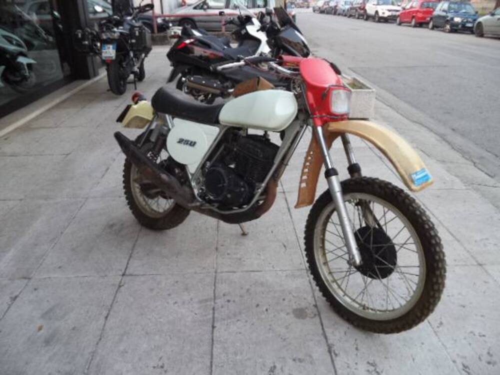 Laverda 250 2 TR  (3)