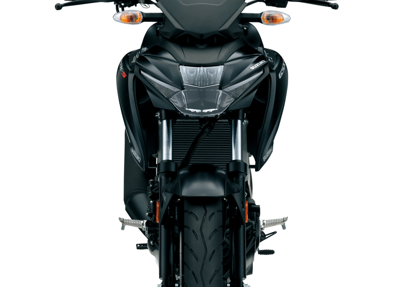 Suzuki GSX-S125 GSX-S125 (2017 - 20) (4)