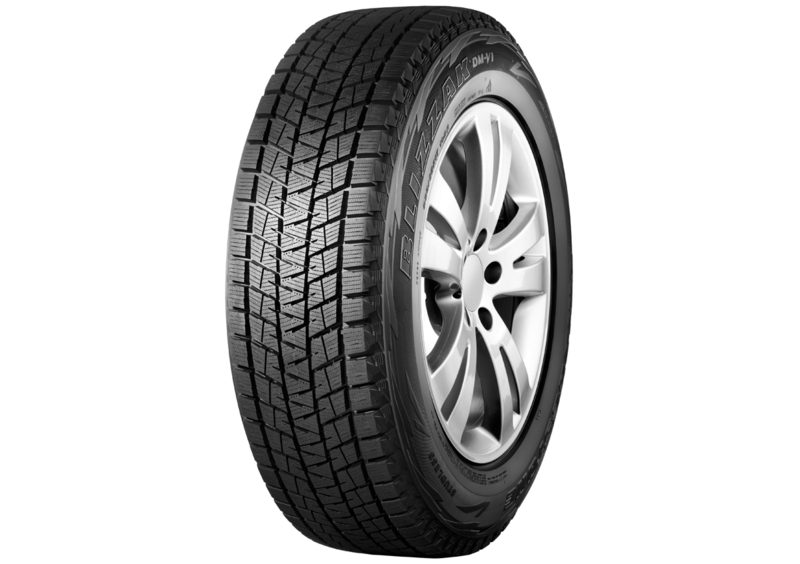 Bridgestone Blizzak DM-V1