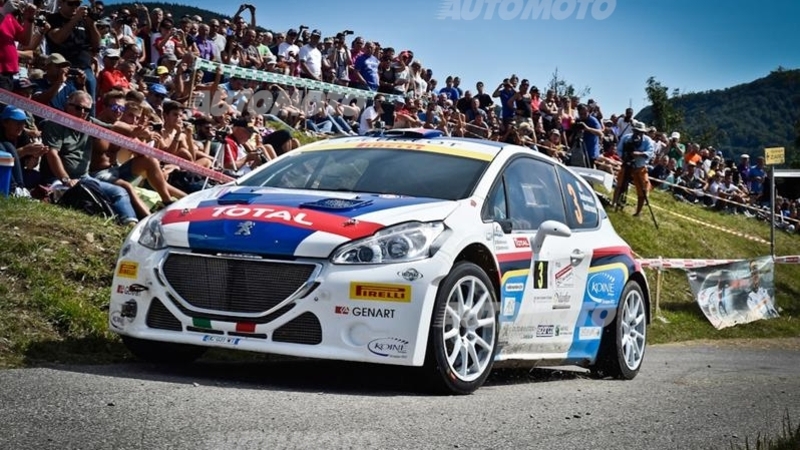 CIR 2014. Rally Friuli Day 1. Show di Andreucci-Andreussi (Peugeot 208 T16)!