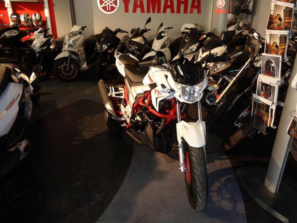  Altre moto o tipologie Special (5)