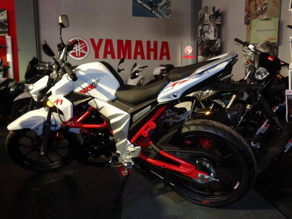  Altre moto o tipologie Special (2)