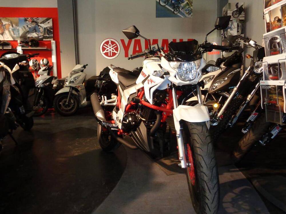  Altre moto o tipologie Special (4)