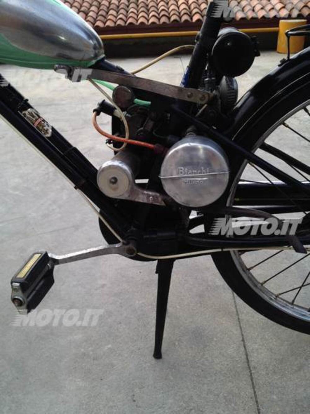 Bianchi aquilotto (2)