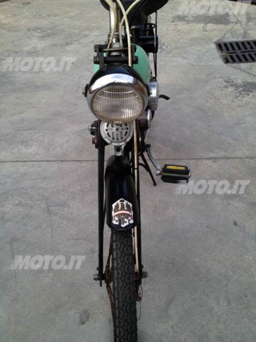 Bianchi aquilotto (4)