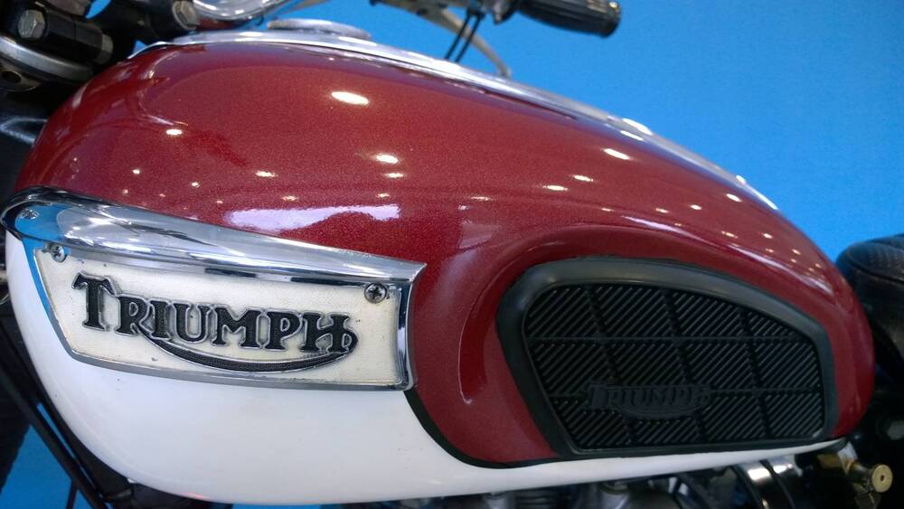 Triumph 500 T 100 R DAYTONA (14)